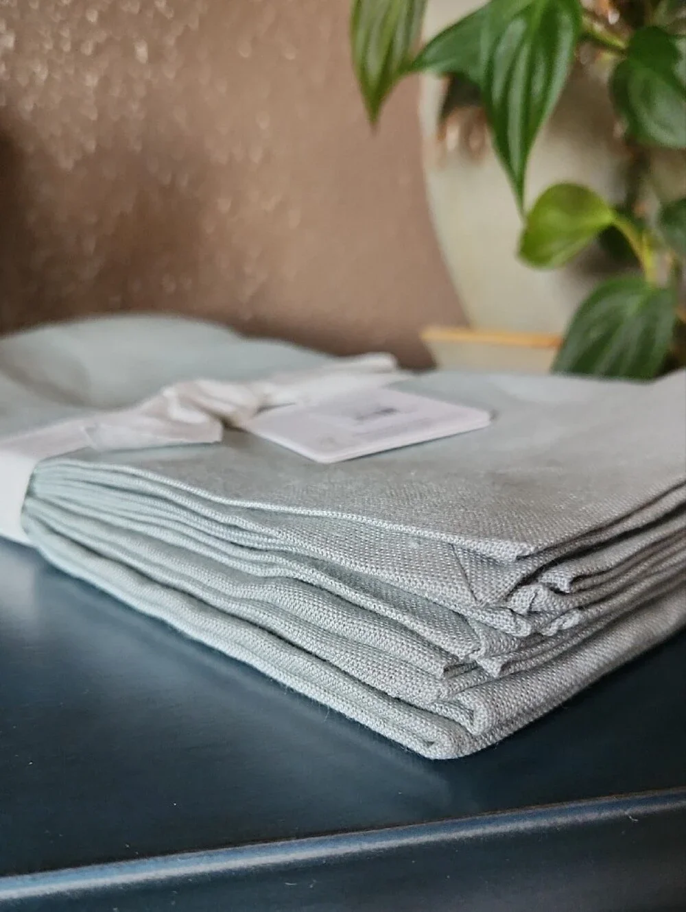 Pottery Barn Mason Linen Napkins in Sage, Brand New Set Of 4